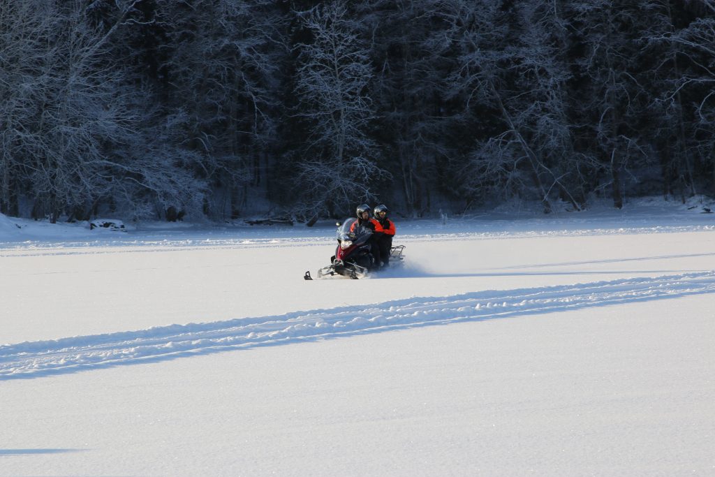 Best winter nature tour in Helsinki